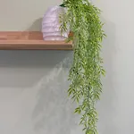 Stylish 1br Flat Garden Balcony Parking Varna